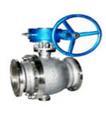 Titanium trunnion type ball valve