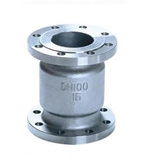 Titanium vertical check valve
