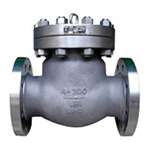 Titanium check valve