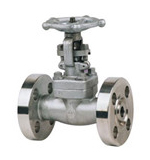 ANSI Titanium globe valve