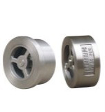 Titanium wafer type check valve