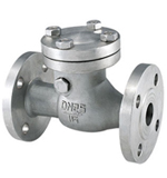 Titanium swing type check valve