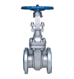 ANSI titanium gate valve