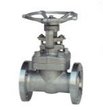 Pure nickel globe valve
