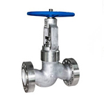 Hastelloy globe valve