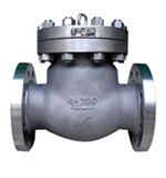 Monel check valve