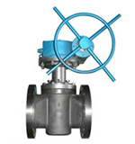 Inconel plug valve