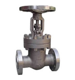 Inconel gate valve