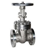 Monel gate valve