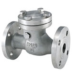 Hastelloy check valve