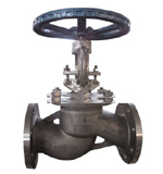 Zirconium globe valve