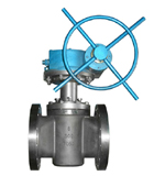 Zirconium plug valve
