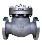 Zirconium Check Valves