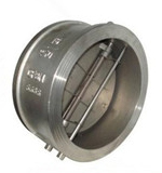 Butterfly type check valve
