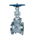 Steam jacket gate valve