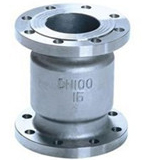 Vertical check valve