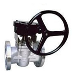 Soft seal plug valve