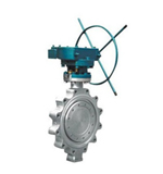 Lug butterfly valve