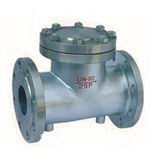 Steam jacket check valve