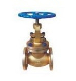 Globe valve